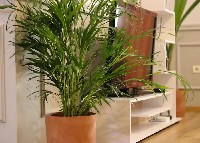 Apartman Johan's Tirana